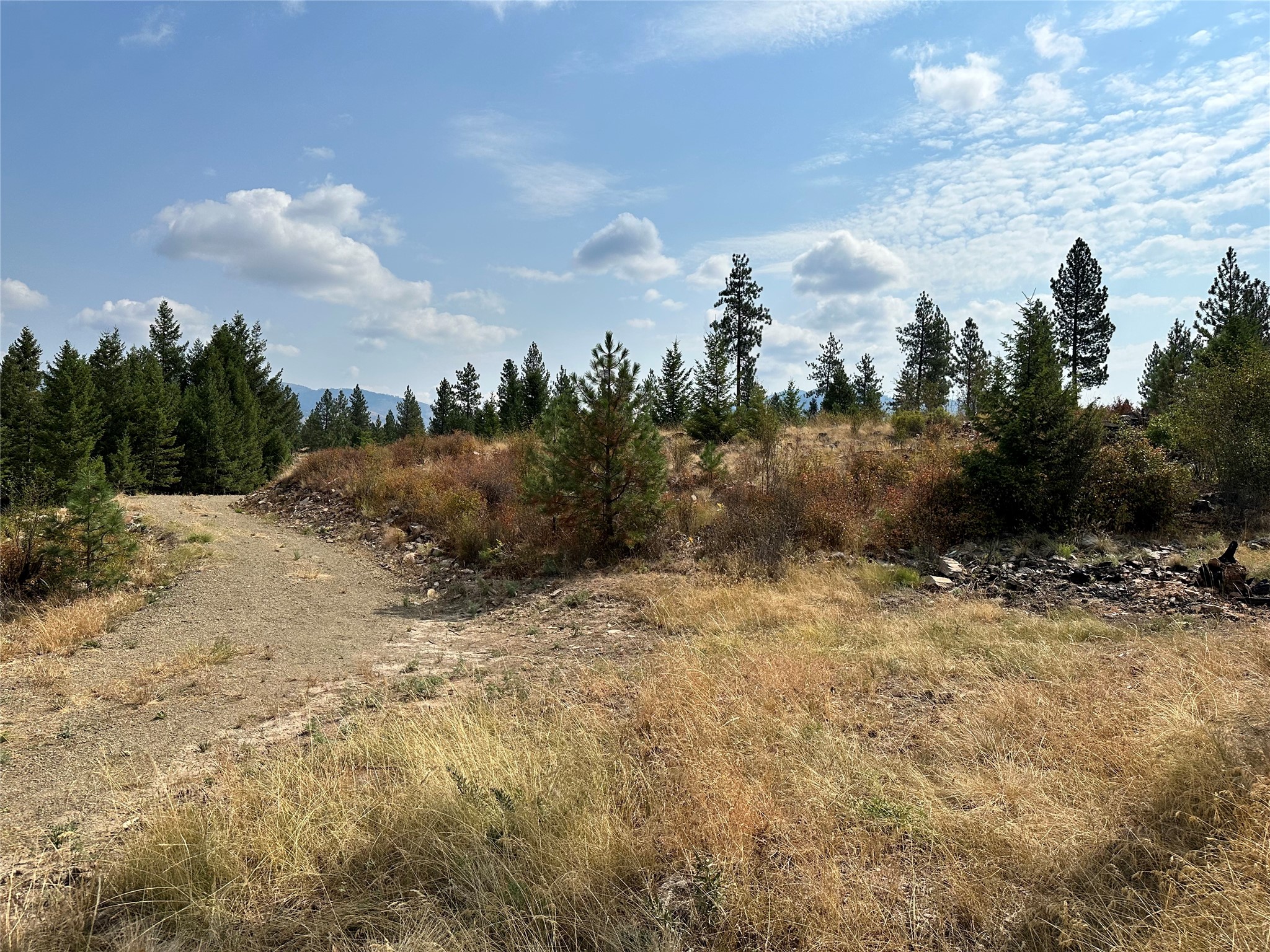 36 Bighorn Bluff Loop