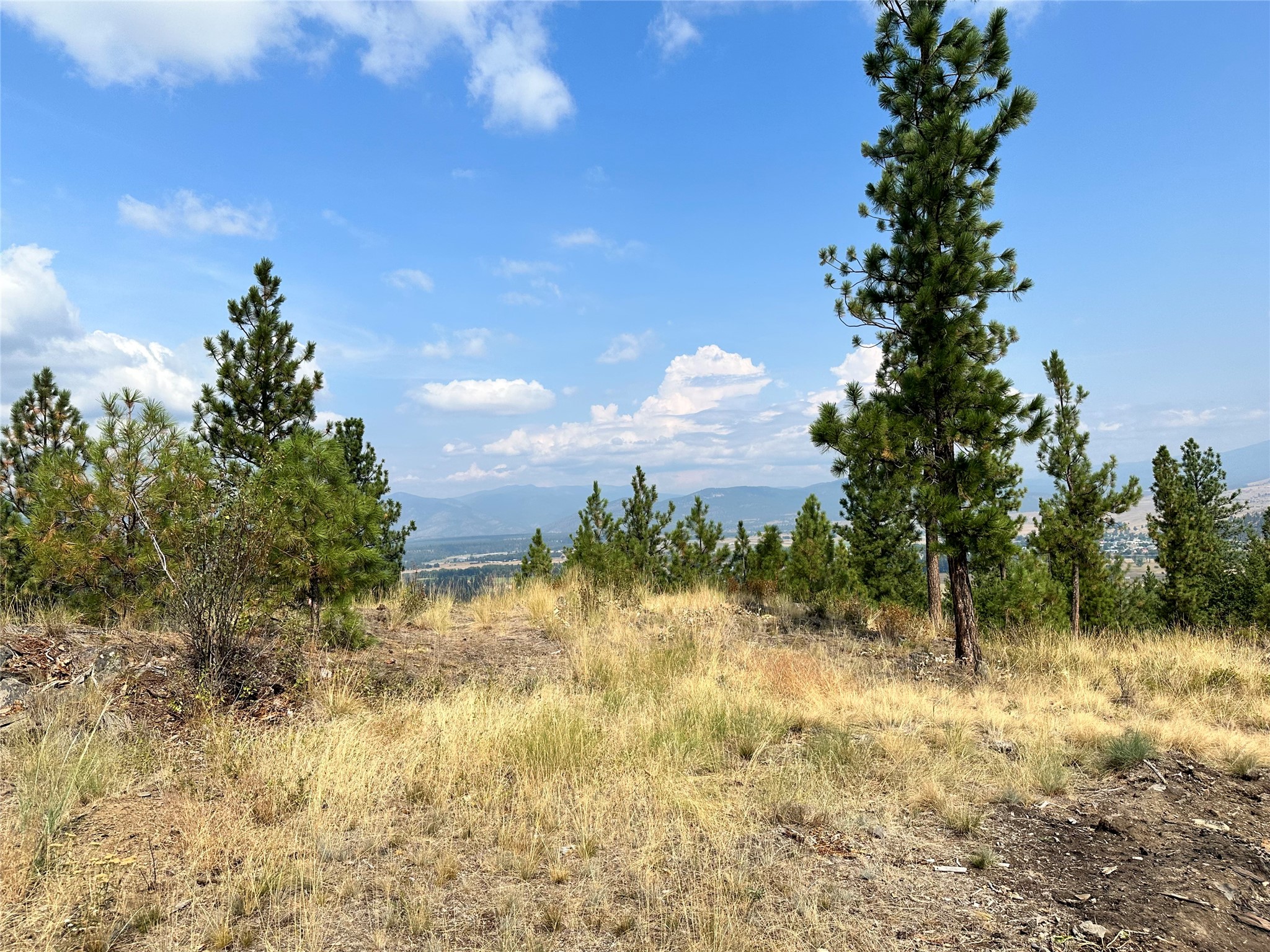 36 Bighorn Bluff Loop