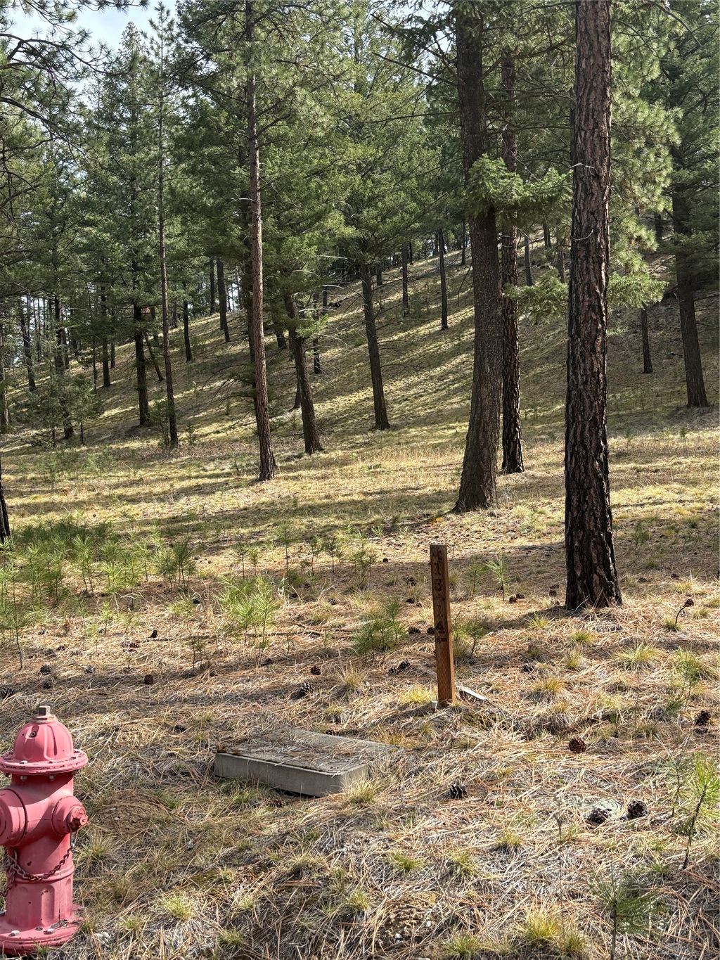 Photo of 625 Wilderness Club Drive, Eureka, MT 59917 (MLS # 30068803)