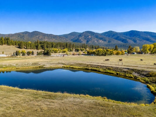 16605 FOX HILL DR, FRENCHTOWN, MT 59834 - Image 92f577fa02f912e25ec7140e63ef01ed/931471552