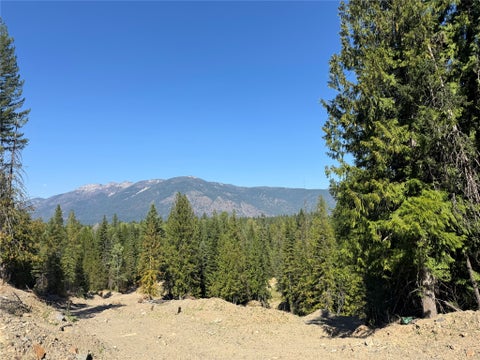 Photo of 208 Elk Creek Road, Heron, MT 59844 (MLS # 30077342)