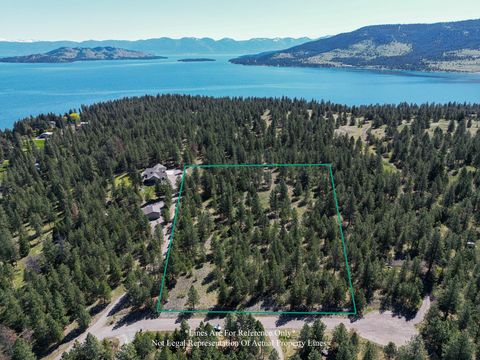 45650 Lark Court Big Arm MT 59910