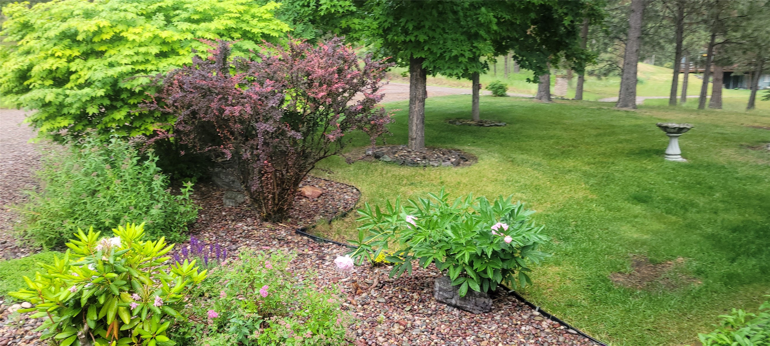 41052 Canyon View Drive