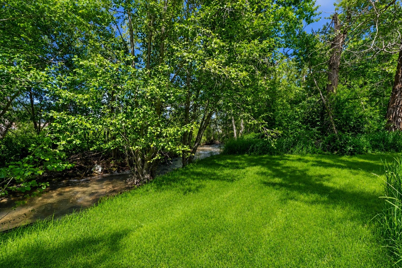 292 Tie Chute Lane