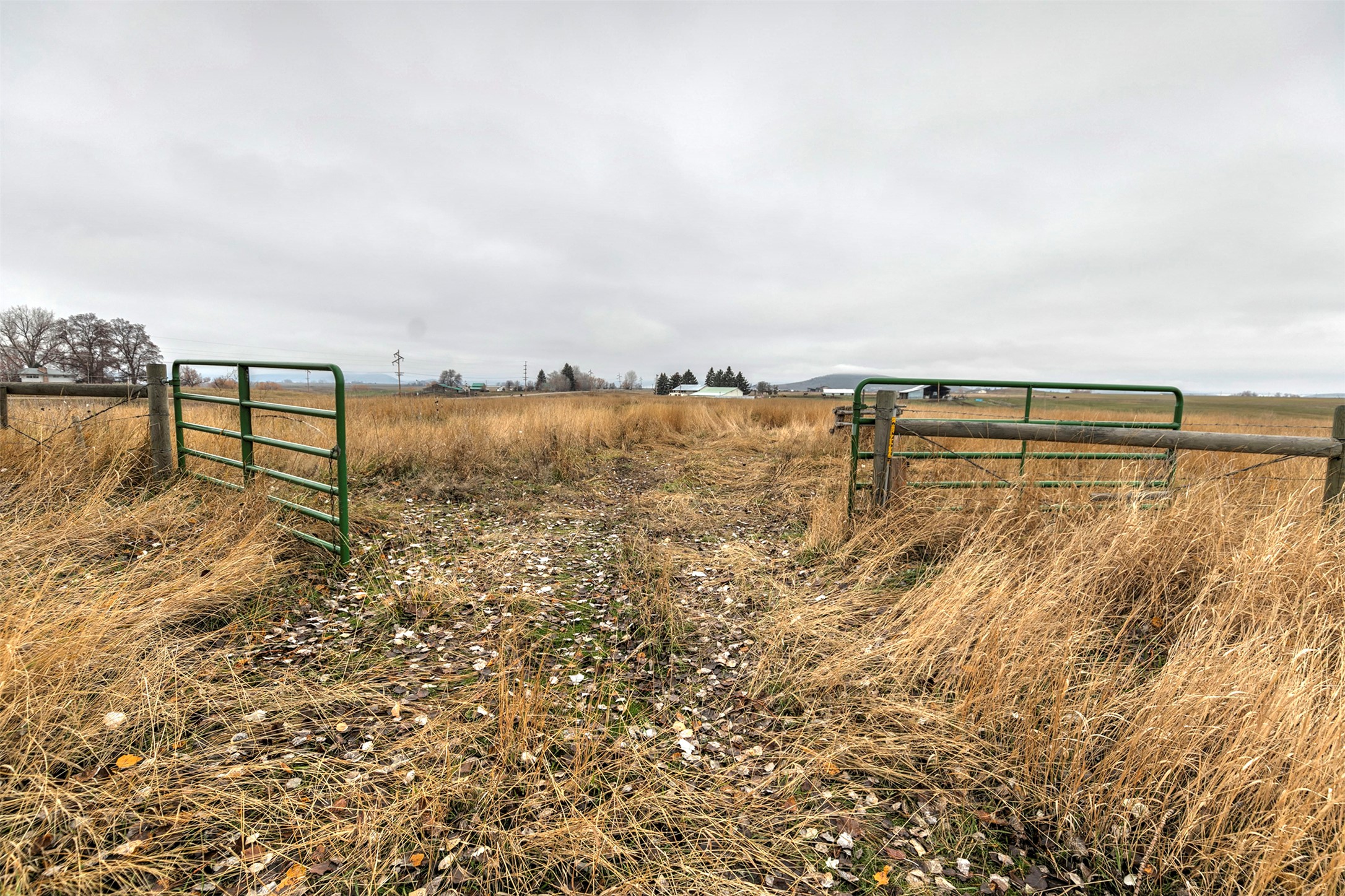 NHN Round Butte Road