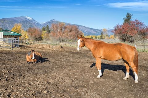 Tiny photo for 5582 Klements Lane, Florence, MT 59833 (MLS # 30068975)
