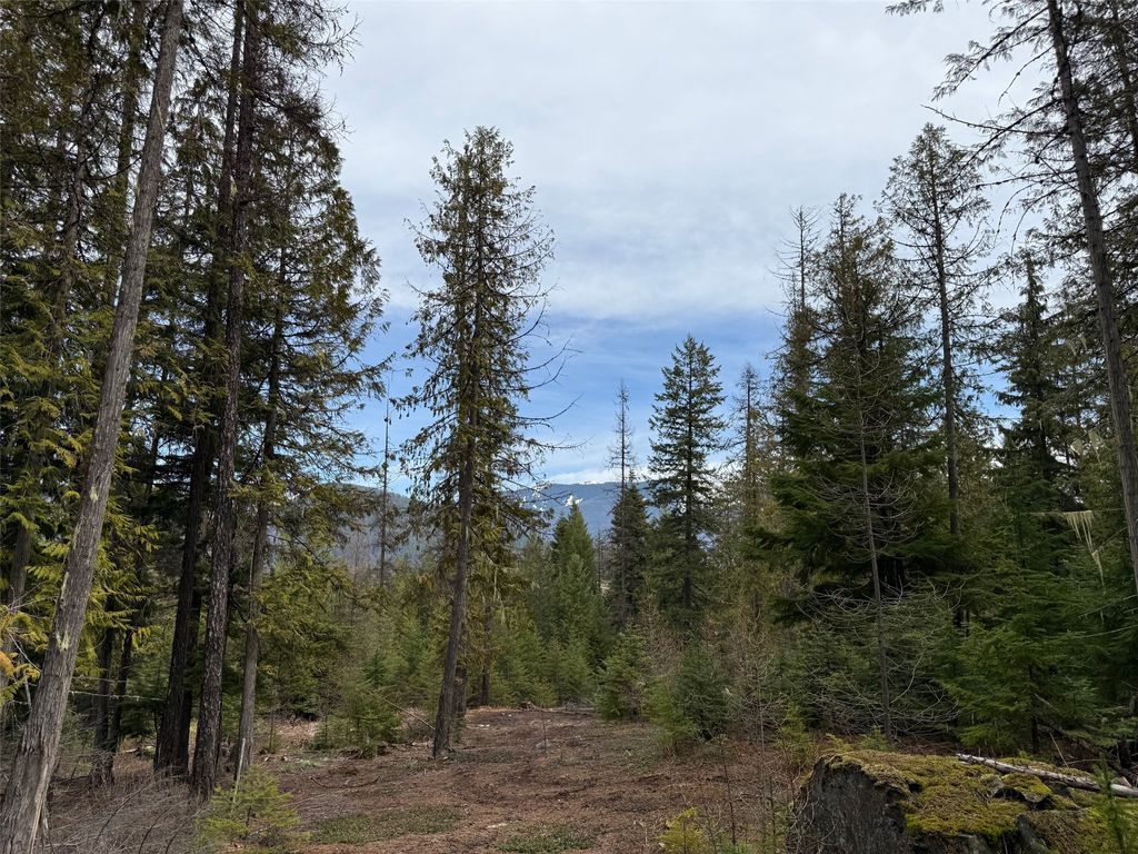 Photo of 230 Klakken Road, Noxon, MT 59853 (MLS # 30067356)