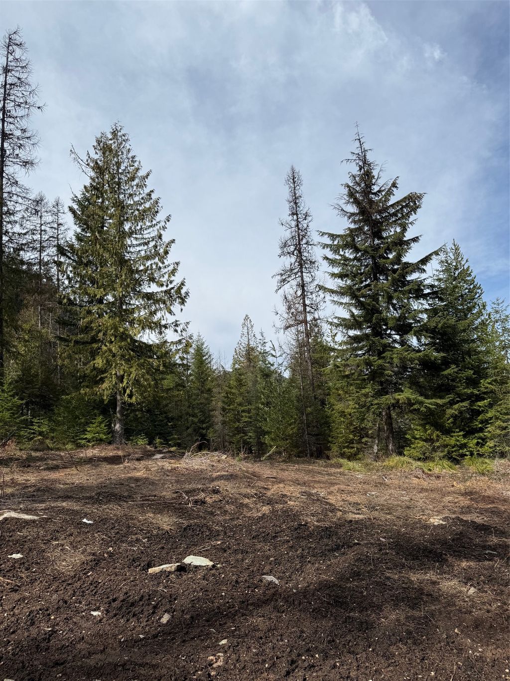Photo of 230 Klakken Road, Noxon, MT 59853 (MLS # 30067356)