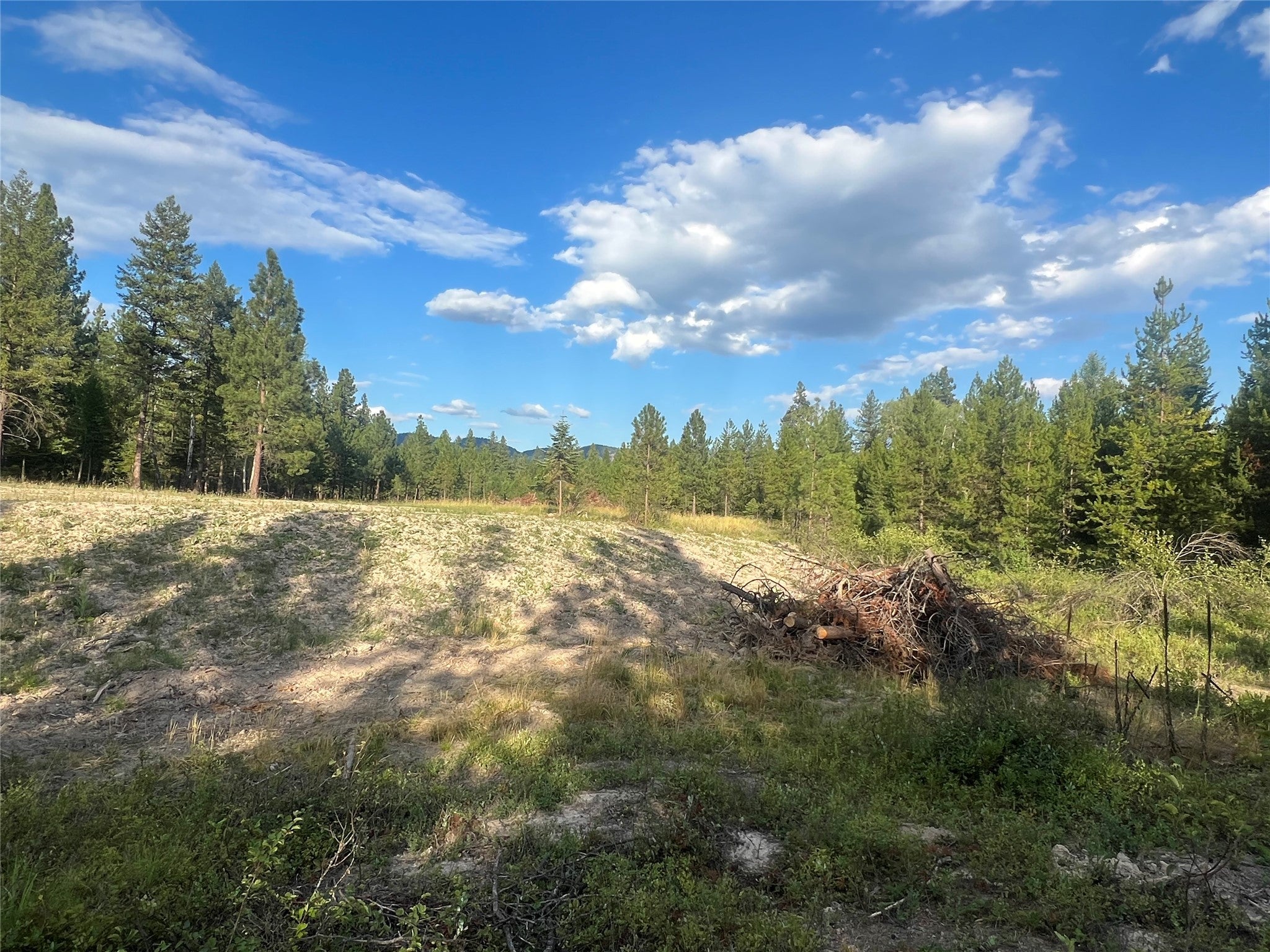 TBD Granite Lake Road 4