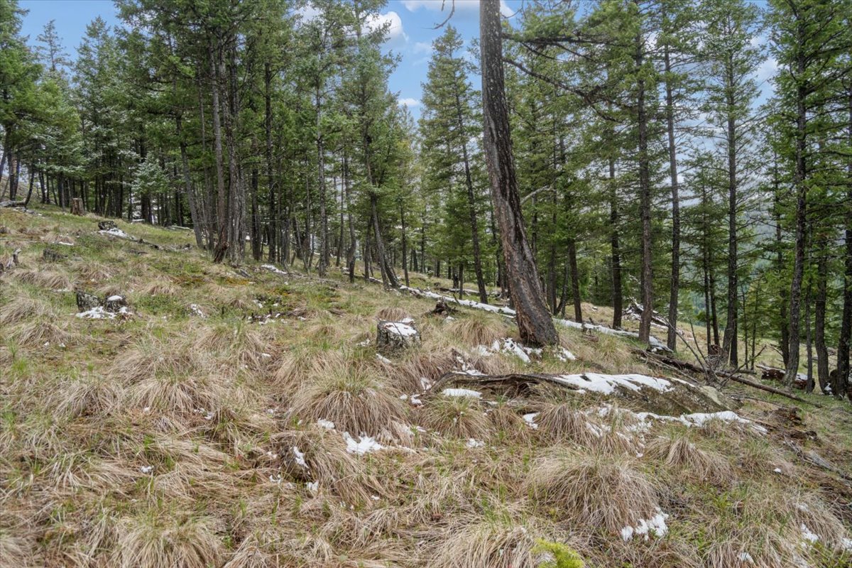 NHN Elk Ranch Road