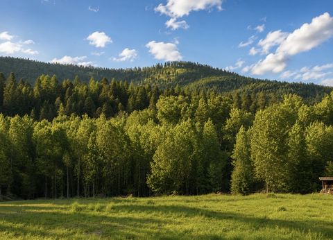 Tiny photo for 281 Dolphin Way, Libby, MT 59923 (MLS # 30070660)