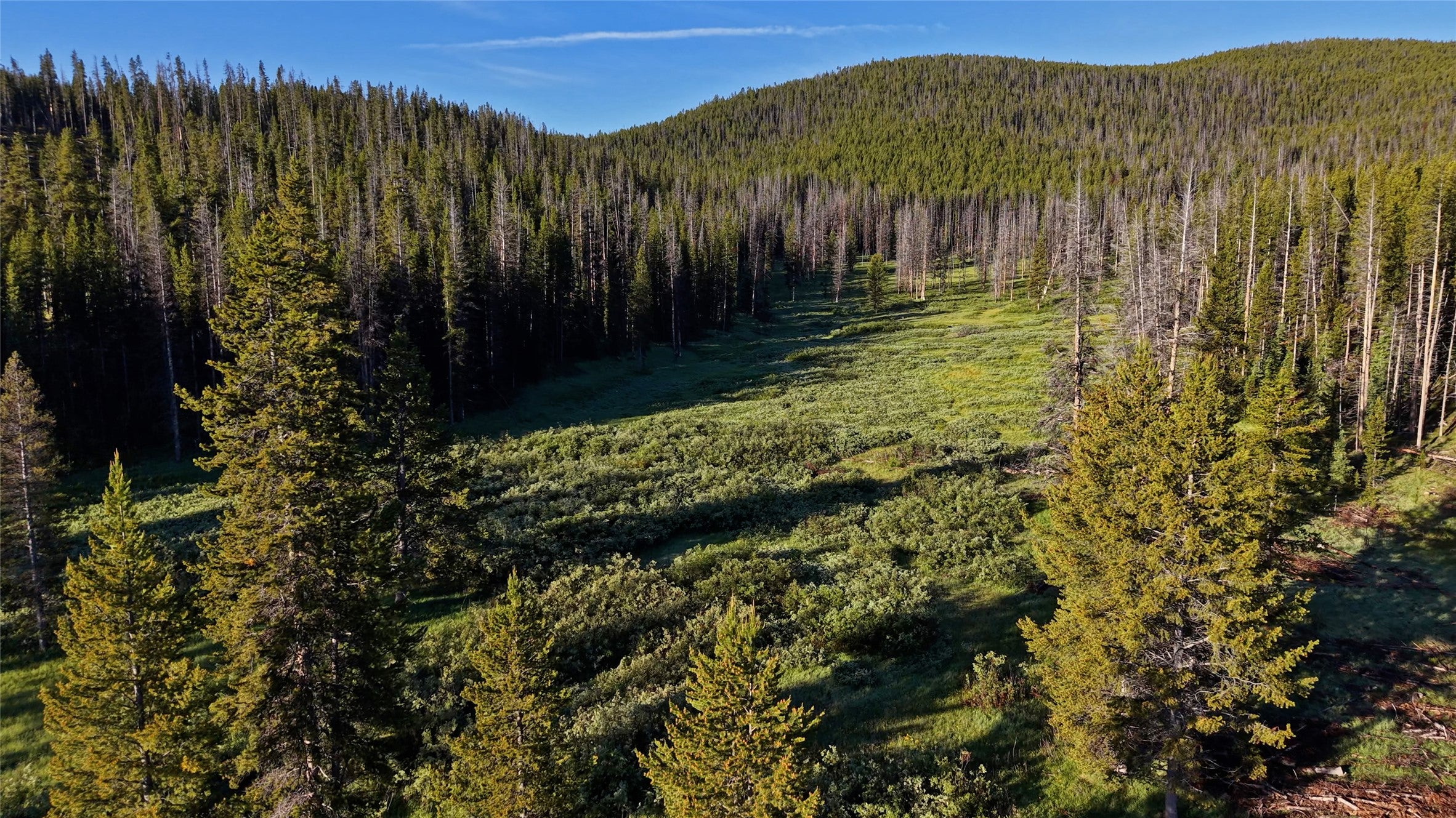 TBD Hwy 43