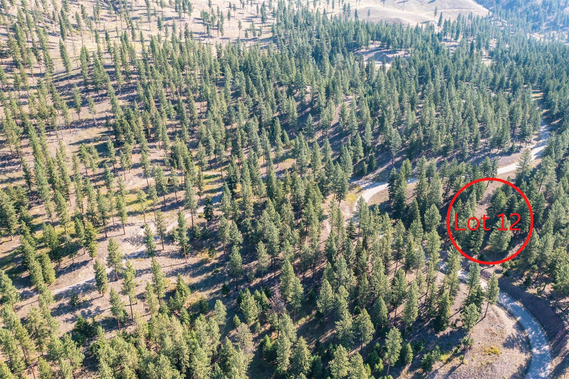 Lot 12 Stonefly Road