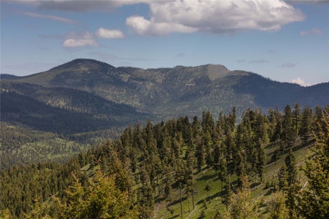 Photo of 4 Tract, Garnet Range, Drummond, MT 59825 (MLS # 30074995)
