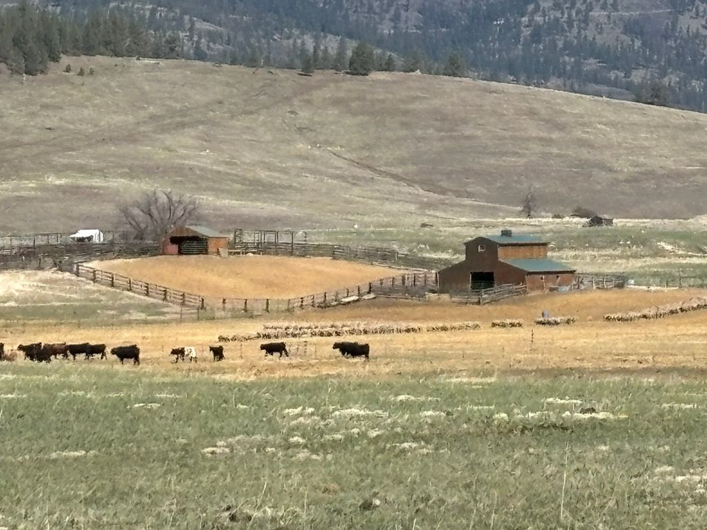 Photo of 3 Finley Gulch Road, Lonepine, MT 59848 (MLS # 30043698)