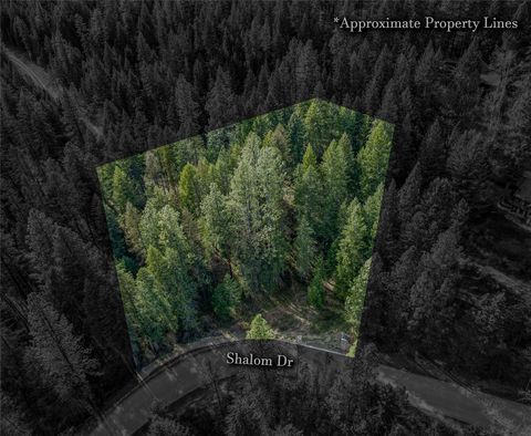 Photo of NHN Shalom Drive, Libby, MT 59923 (MLS # 30069223)