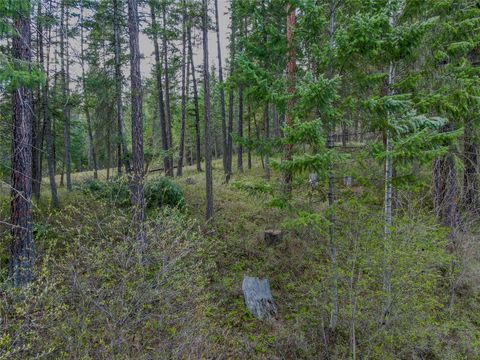 Tiny photo for NHN Shalom Drive, Libby, MT 59923 (MLS # 30069223)