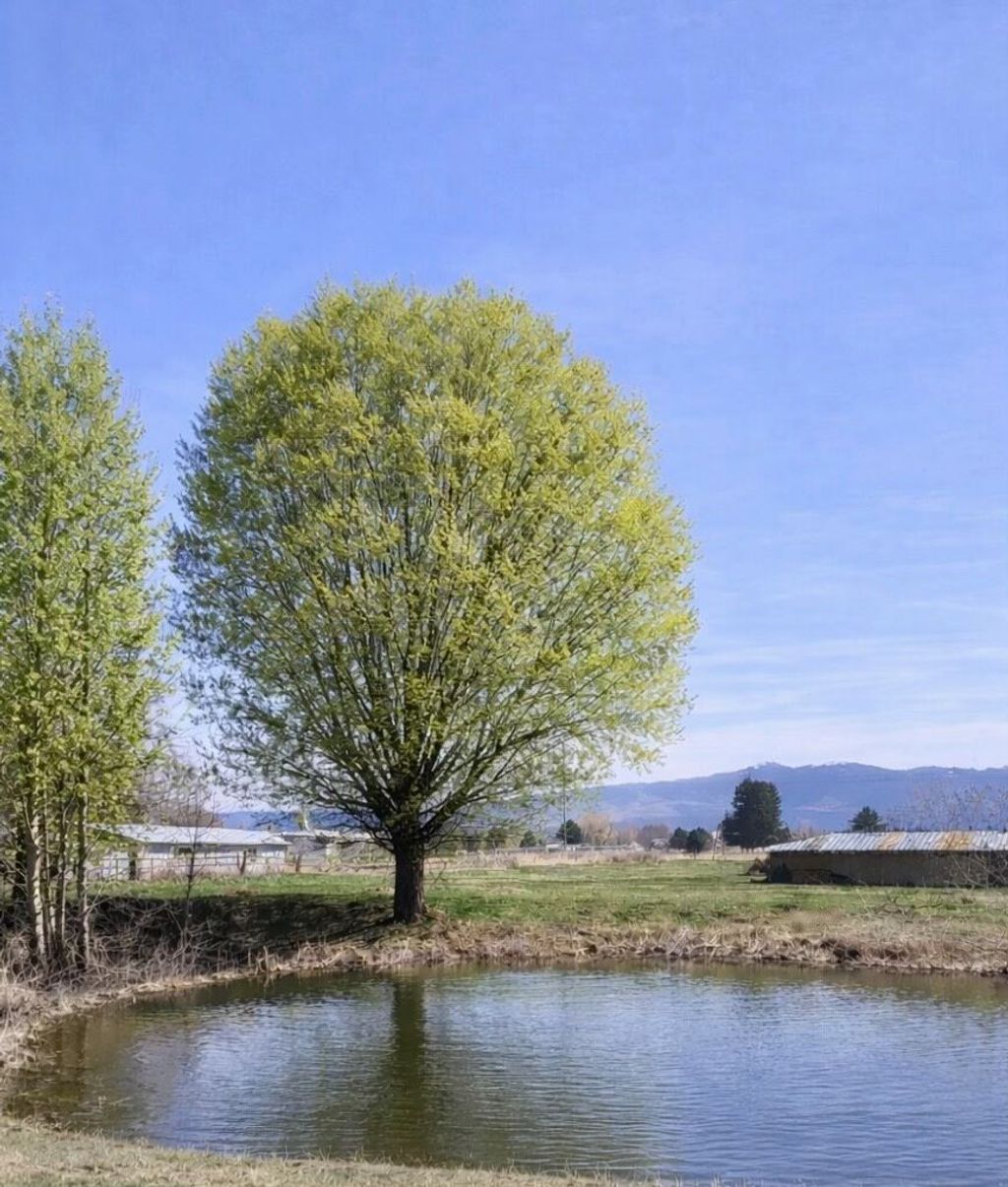 Photo of 611 Old Corvallis Road, Corvallis, MT 59828 (MLS # 30068196)