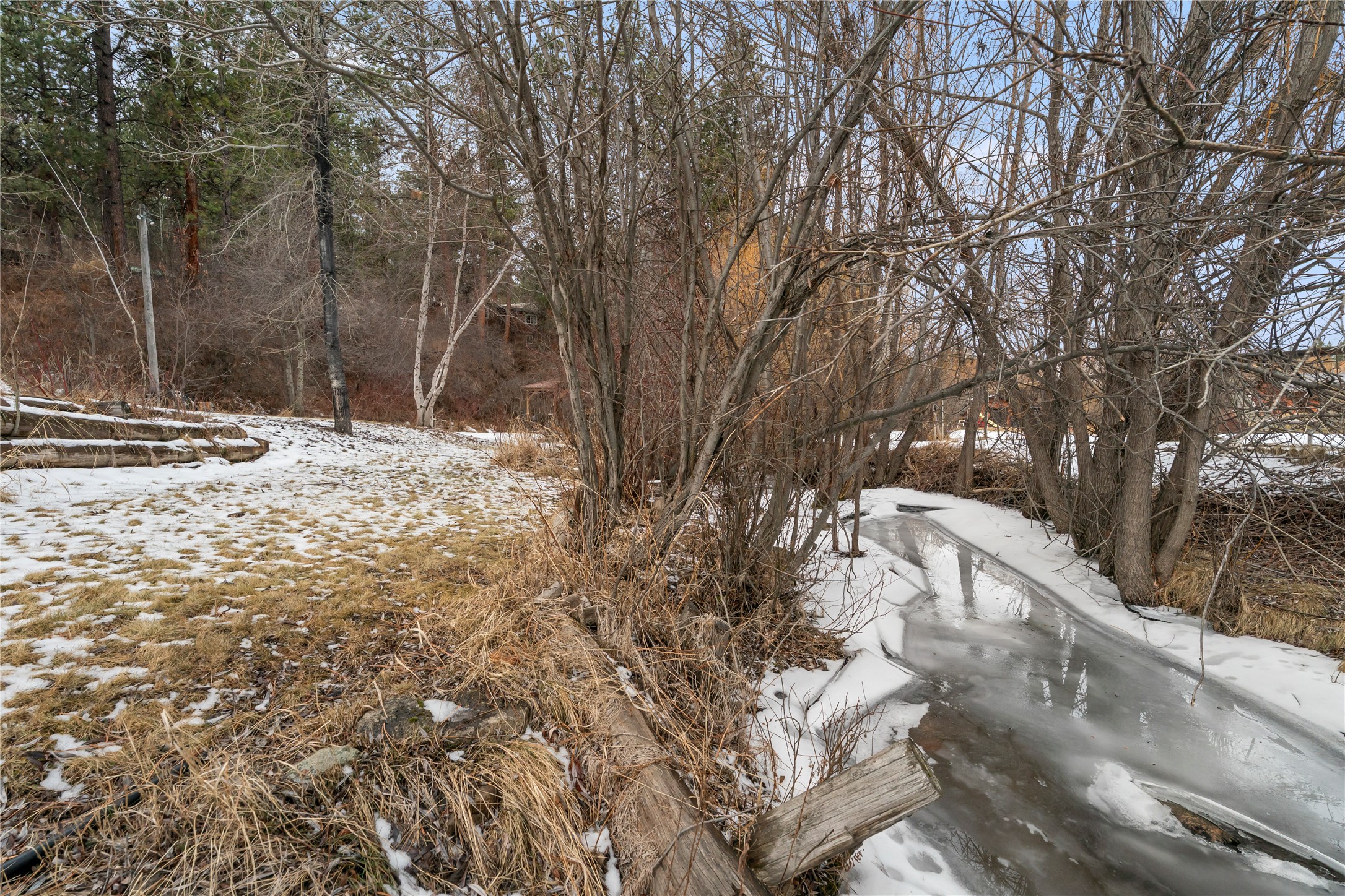 53 Woodland Park Loop