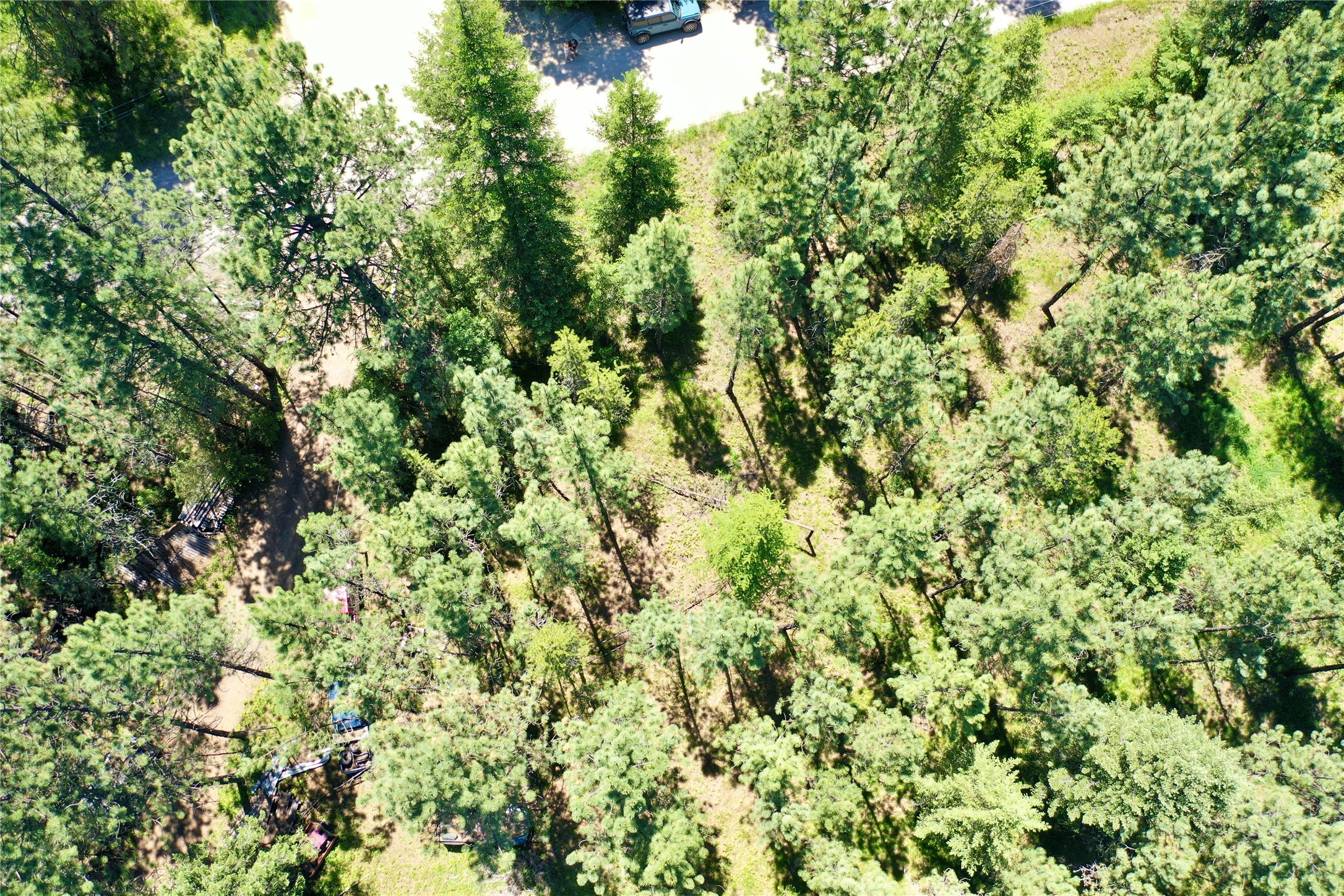 NHN Robins Nest Lane