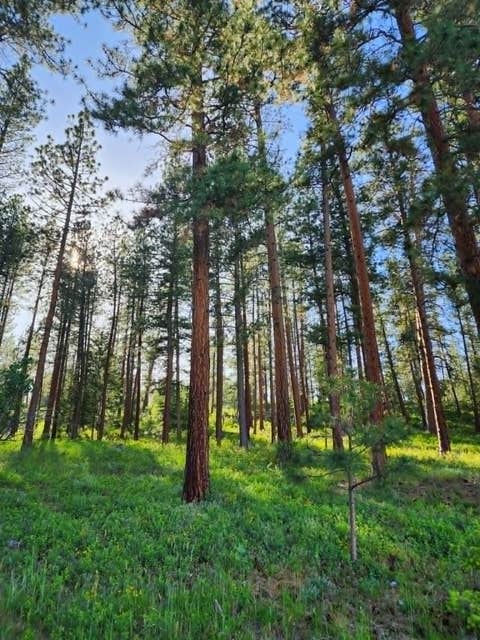 Tiny photo for NHN Old Hot Springs Road, Hot Springs, MT 59845 (MLS # 30072981)