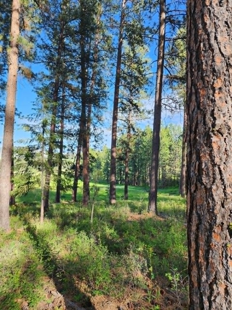 Tiny photo for NHN Old Hot Springs Road, Hot Springs, MT 59845 (MLS # 30072981)