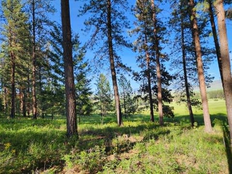 Tiny photo for NHN Old Hot Springs Road, Hot Springs, MT 59845 (MLS # 30072981)