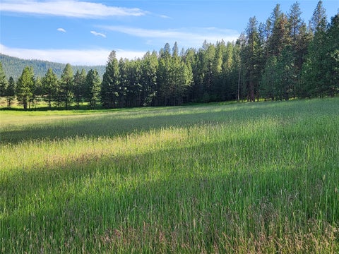 Tiny photo for NHN Old Hot Springs Road, Hot Springs, MT 59845 (MLS # 30072981)