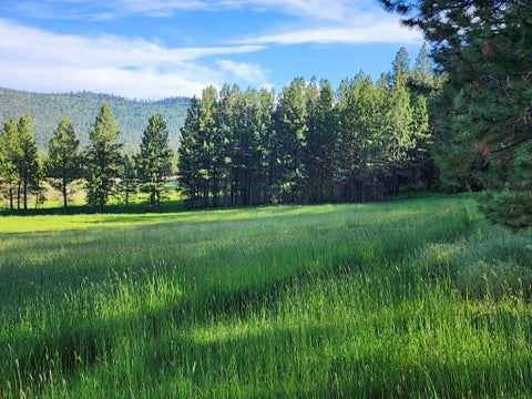 Tiny photo for NHN Old Hot Springs Road, Hot Springs, MT 59845 (MLS # 30072981)