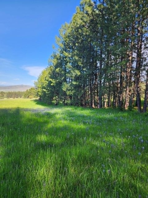 Tiny photo for NHN Old Hot Springs Road, Hot Springs, MT 59845 (MLS # 30072981)