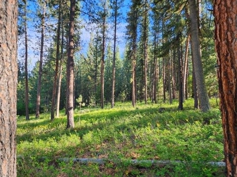 Tiny photo for NHN Old Hot Springs Road, Hot Springs, MT 59845 (MLS # 30072981)