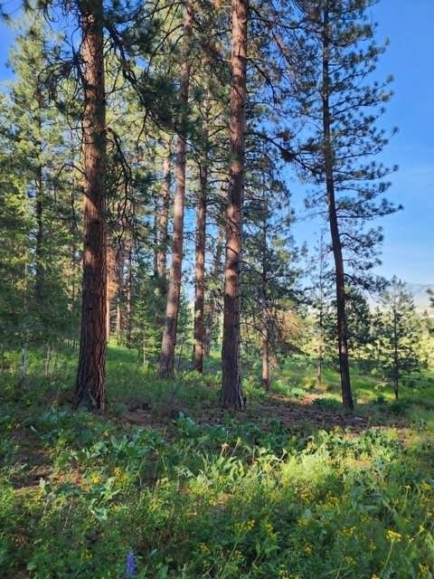 Tiny photo for NHN Old Hot Springs Road, Hot Springs, MT 59845 (MLS # 30072981)
