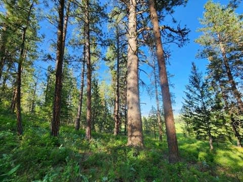 Tiny photo for NHN Old Hot Springs Road, Hot Springs, MT 59845 (MLS # 30072981)