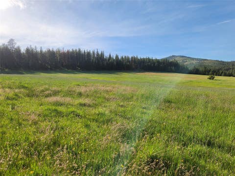 Tiny photo for NHN Old Hot Springs Road, Hot Springs, MT 59845 (MLS # 30072981)