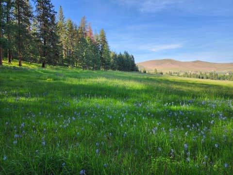 Tiny photo for NHN Old Hot Springs Road, Hot Springs, MT 59845 (MLS # 30072981)