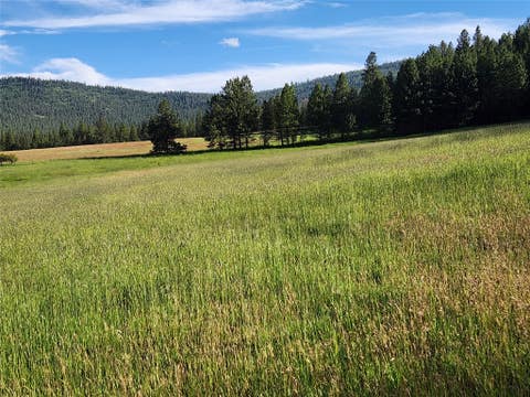 Tiny photo for NHN Old Hot Springs Road, Hot Springs, MT 59845 (MLS # 30072981)