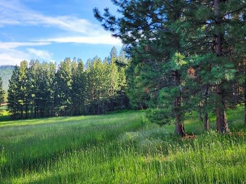 Tiny photo for NHN Old Hot Springs Road, Hot Springs, MT 59845 (MLS # 30072981)