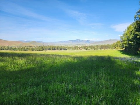 Tiny photo for NHN Old Hot Springs Road, Hot Springs, MT 59845 (MLS # 30072981)