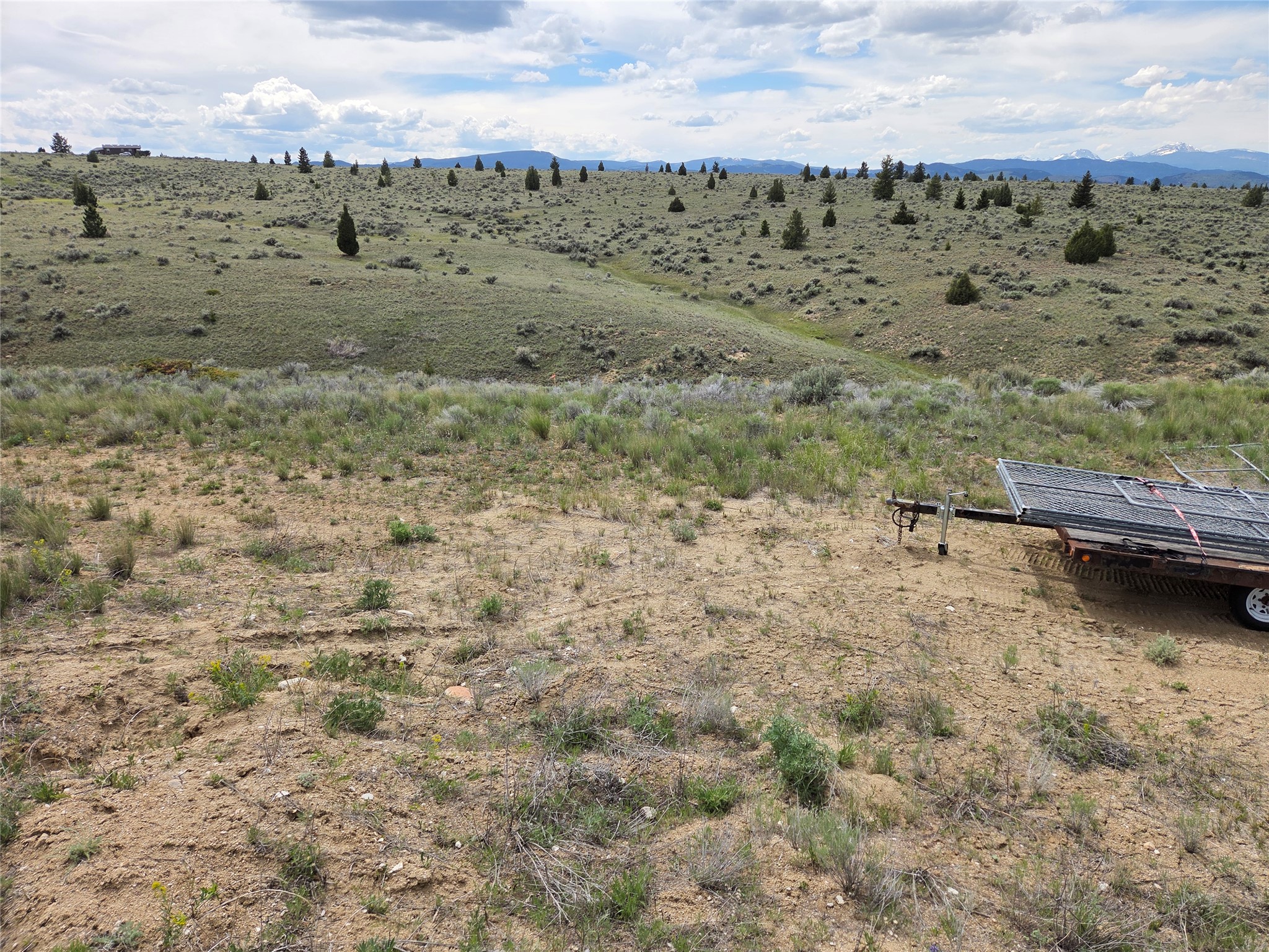 347 Lupine Lane