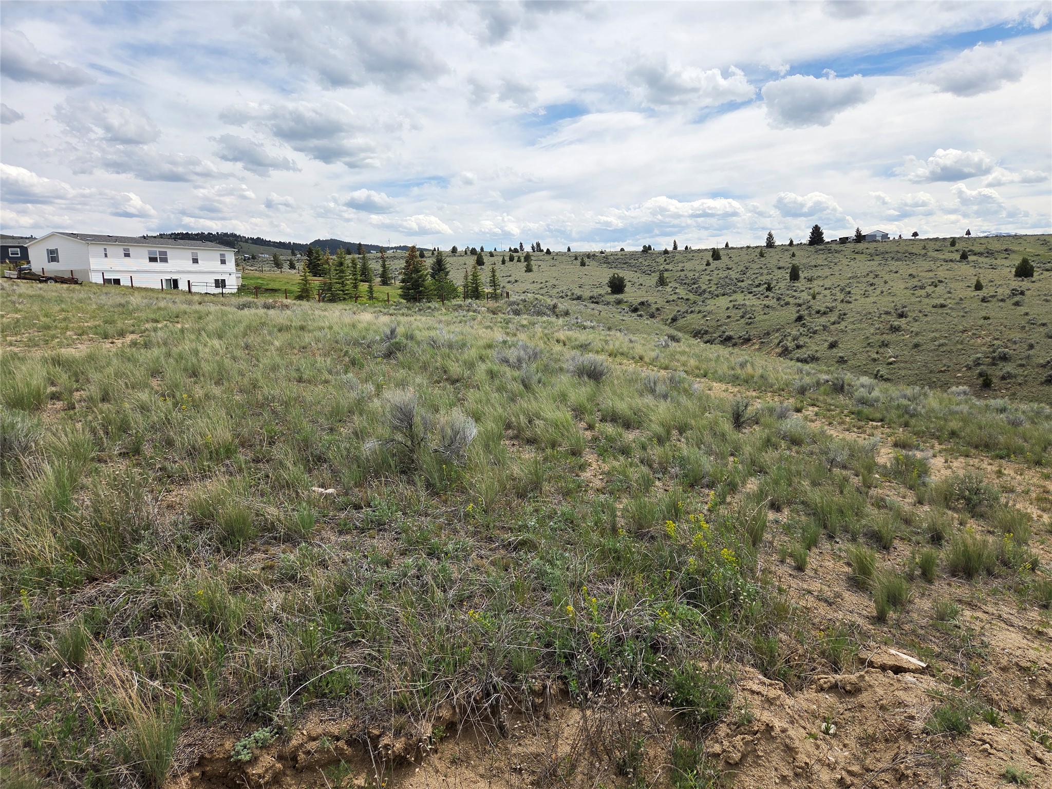347 Lupine Lane