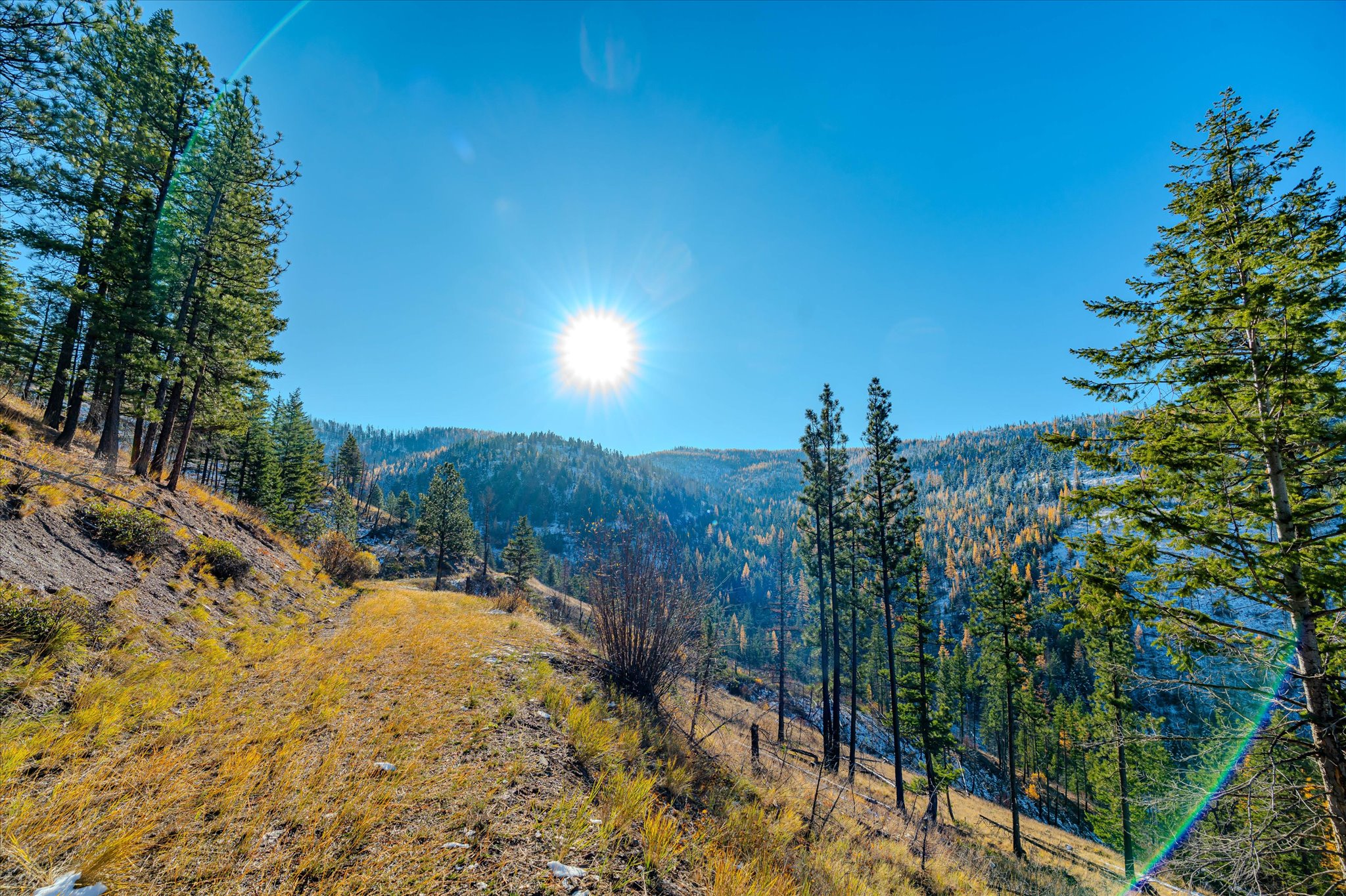 Nhn McGinnis Meadows - Bayhorse Road Section 7
