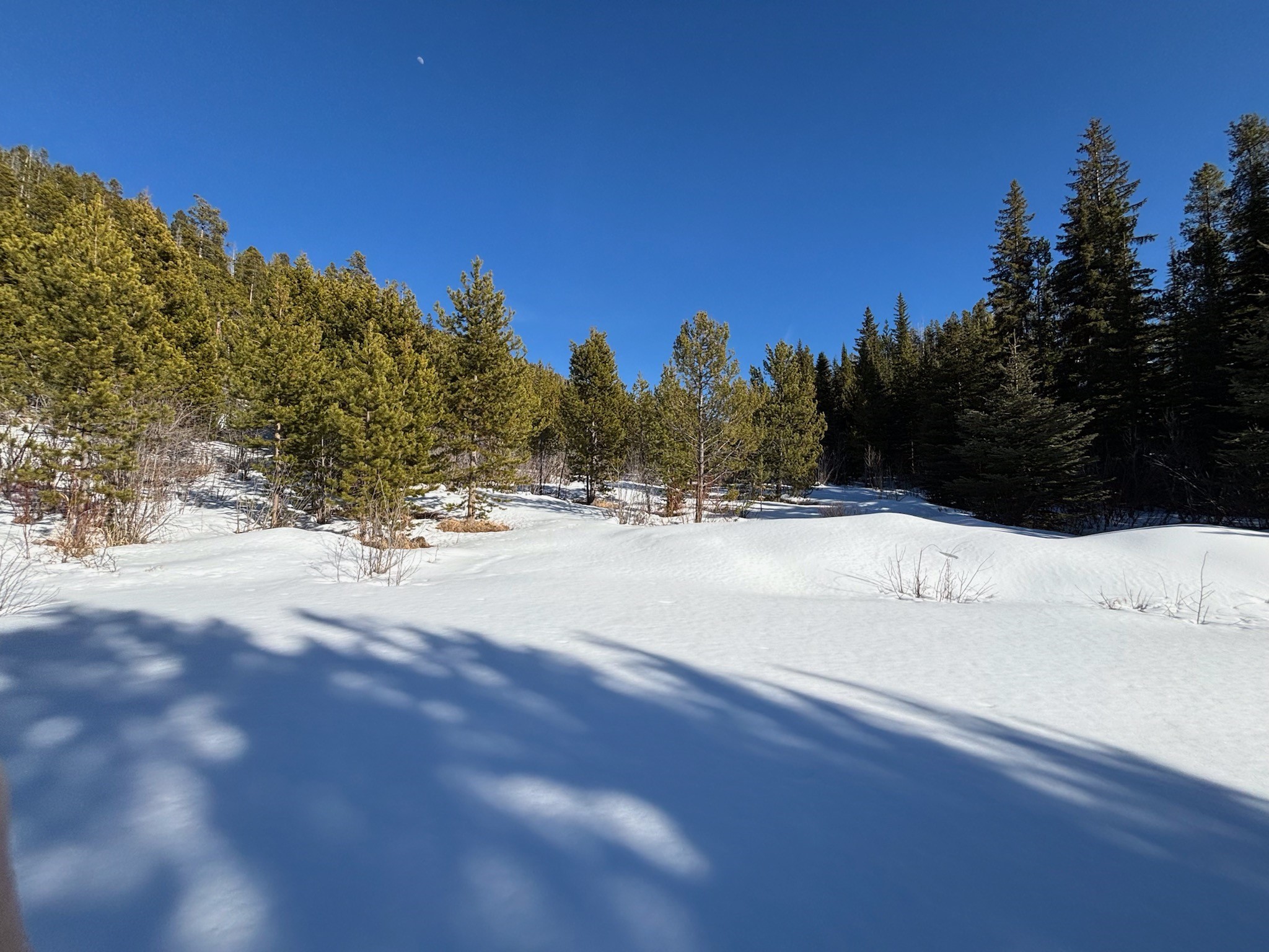 121 S Granite Road