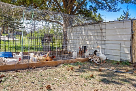 Tiny photo for 1256 Harvest Road, MT 59456 (MLS # 30073416)