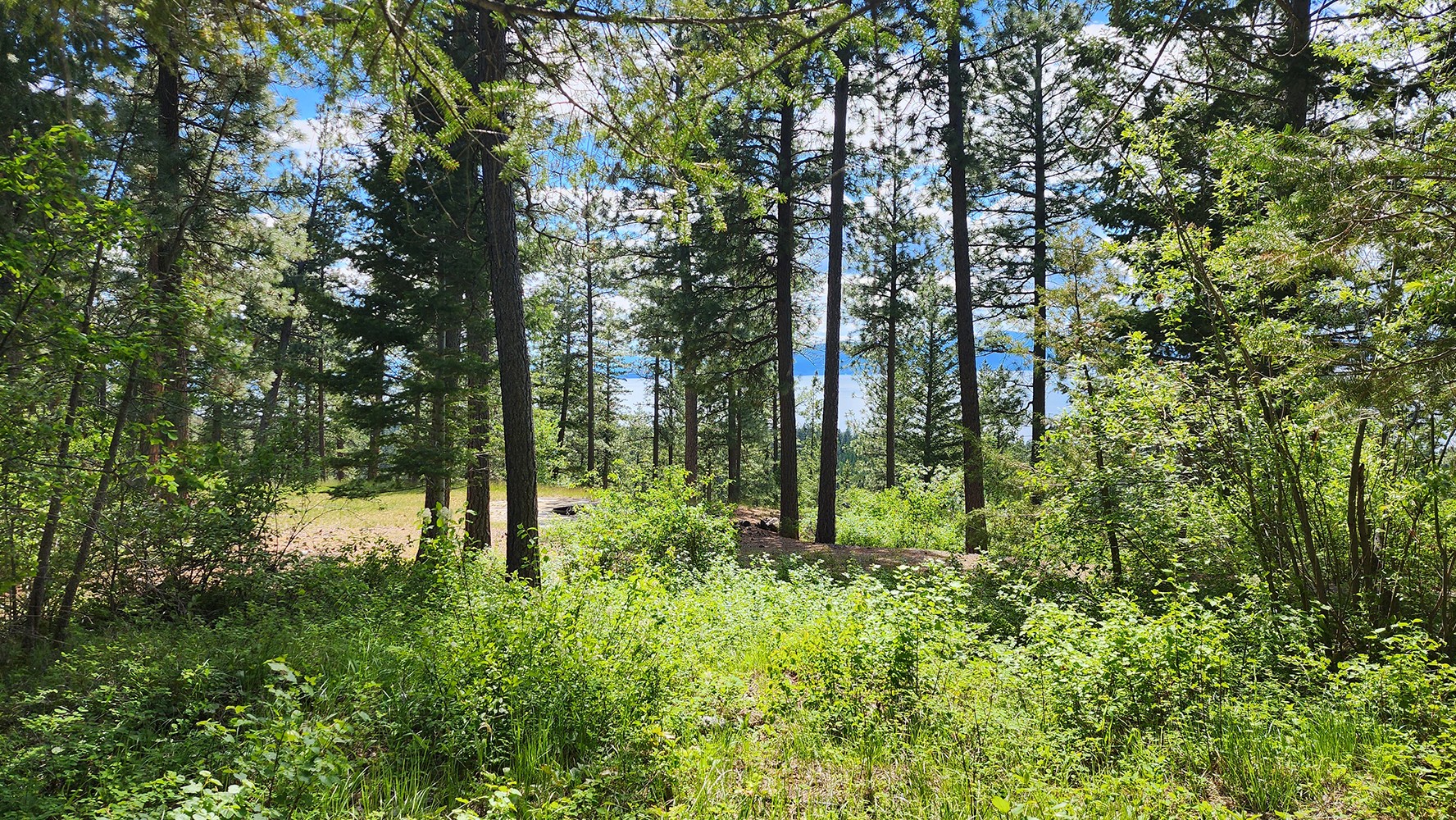 31683 Lake To Sky Dr, Bigfork, MT, 59911, USA, 2 Bedrooms Bedrooms, ,1 BathroomBathrooms,Residential,Active,31683 Lake To Sky Dr,30071322