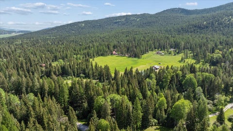 Tiny photo for 1785 Browns Meadow Road, Kila, MT 59920 (MLS # 30072052)