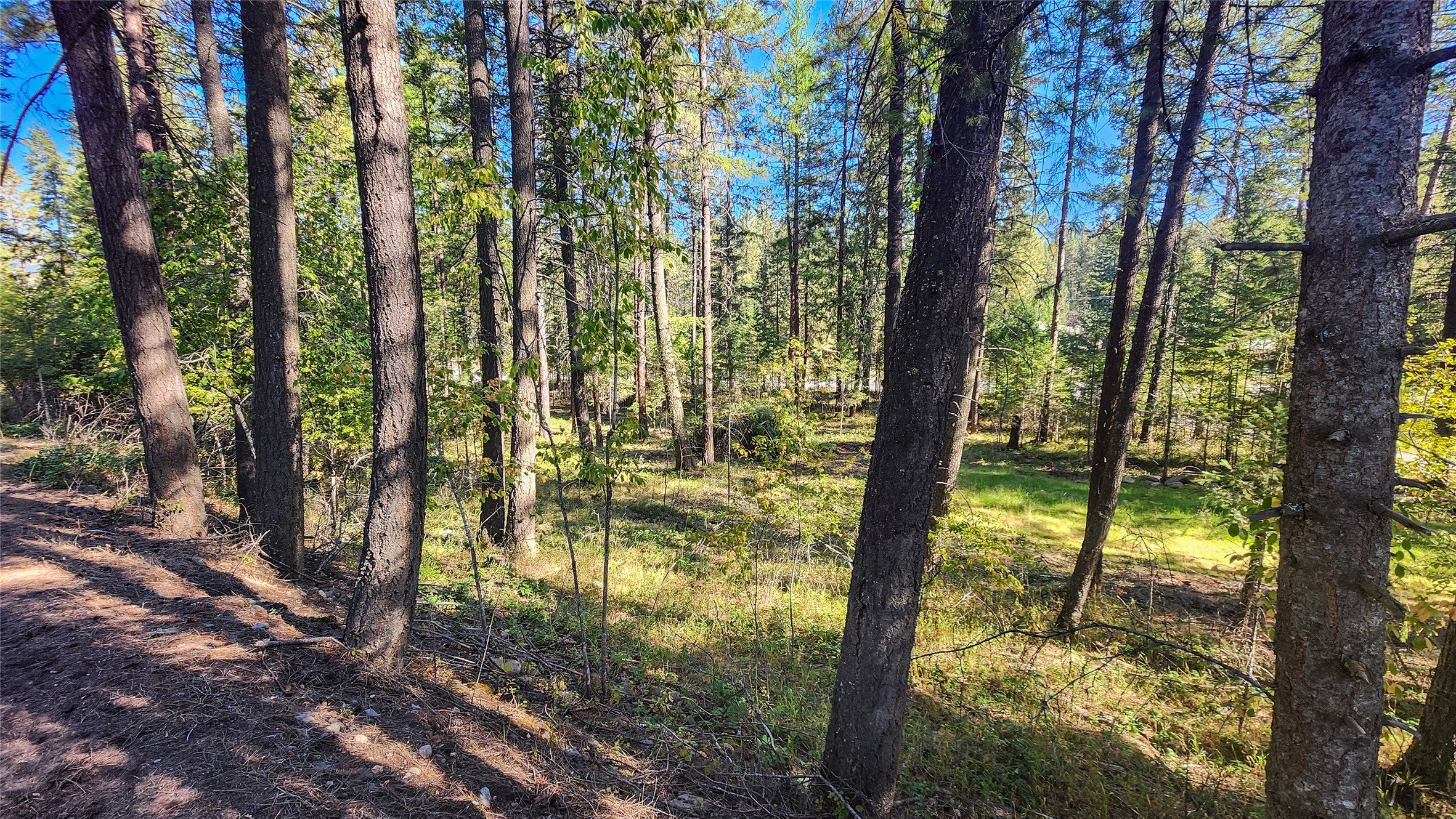 1505 Kootenai River Road