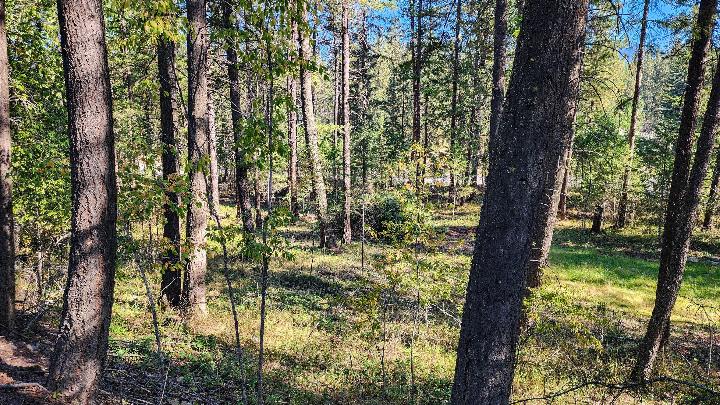 1505 Kootenai River Road