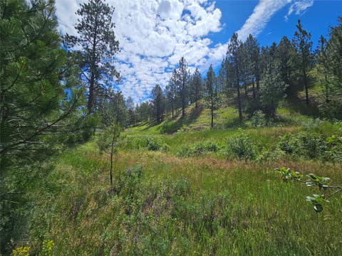 Tiny photo for 569 Creek Hollow Way, Florence, MT 59833 (MLS # 30073479)