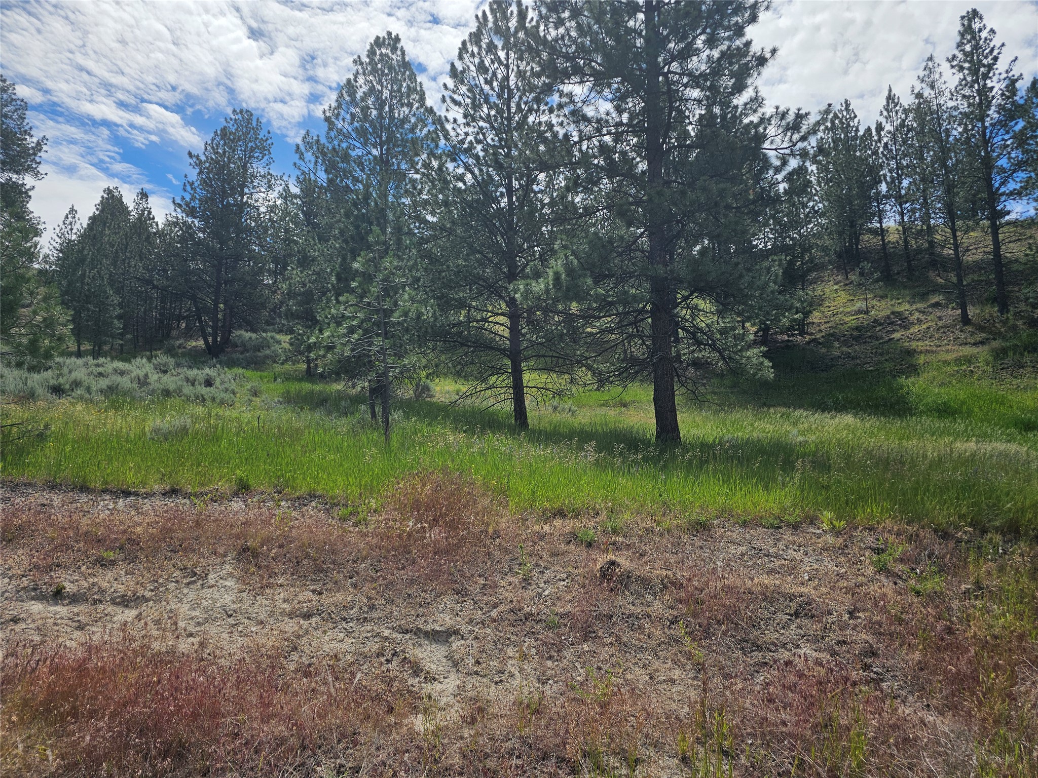 569 Creek Hollow Way