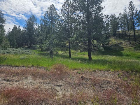 Tiny photo for 569 Creek Hollow Way, Florence, MT 59833 (MLS # 30073479)